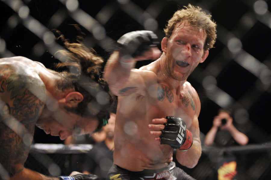 Gray Maynard Swinging His Fist Wallpaper