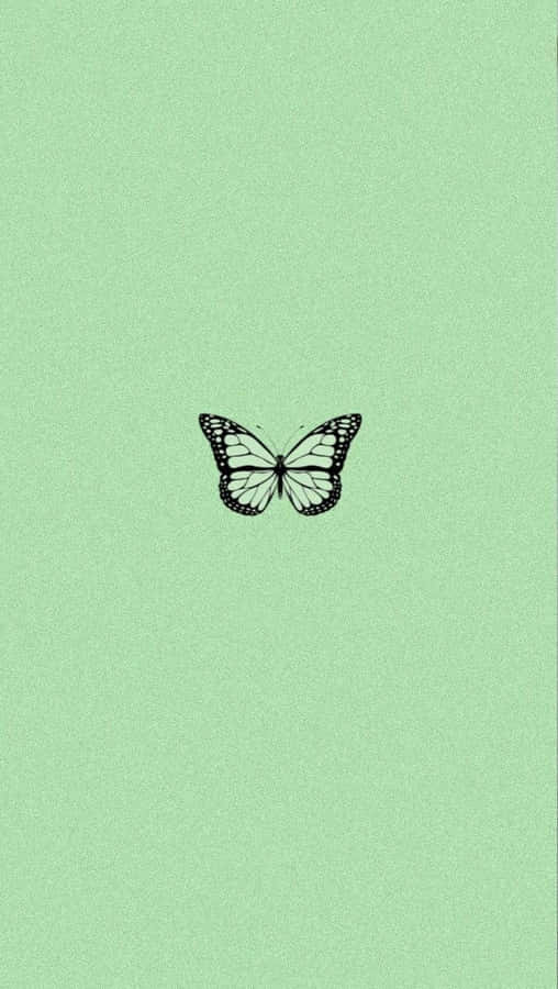 Green Aesthetic Butterfly Wallpaper Wallpaper