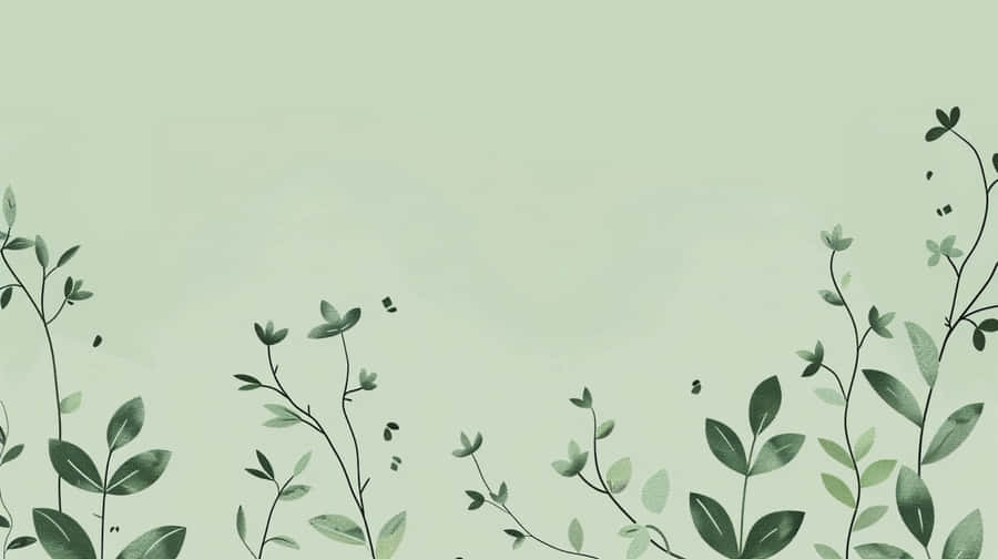 Green Aesthetic Floral Background Wallpaper