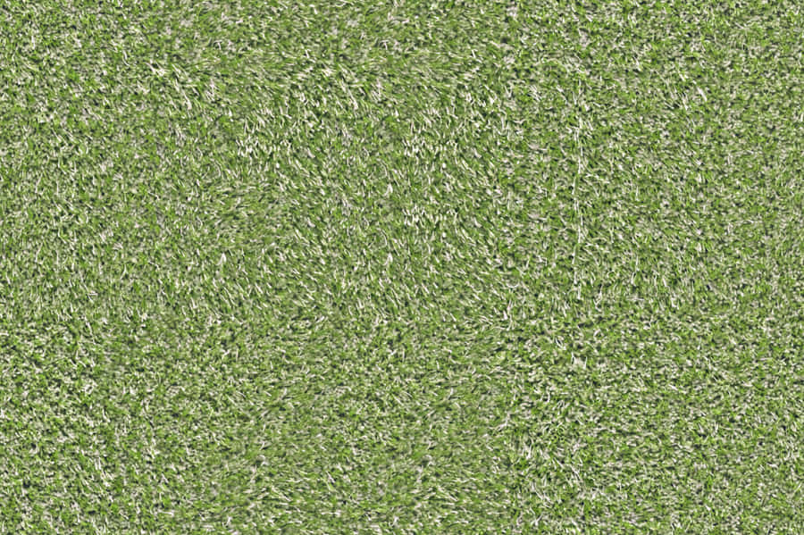 Green Carpet Texture Wallpaper