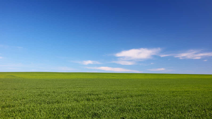 Green Farmland Under Blue Sky Wallpaper