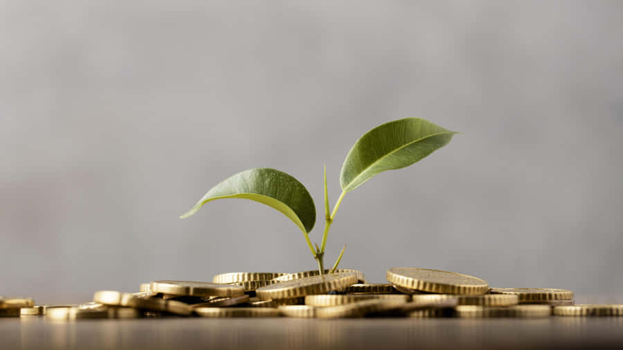 Green Finance And Sustainable Investment Wallpaper