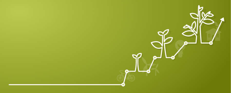 Green Finance Concept With Coins And Plant Wallpaper