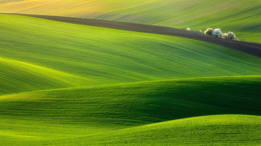 Green Hill Landscape Wallpaper