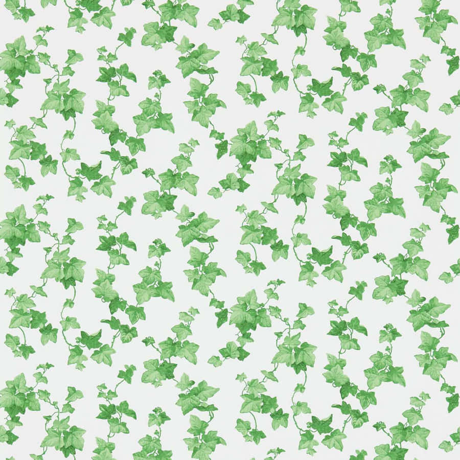 Green Ivy Pattern Background Wallpaper
