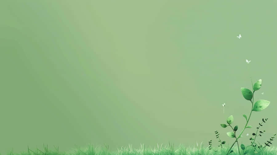 Green Nature Aesthetic Background Wallpaper