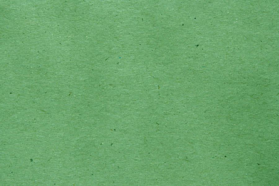 Green Texture 3888 X 2592 Wallpaper Wallpaper