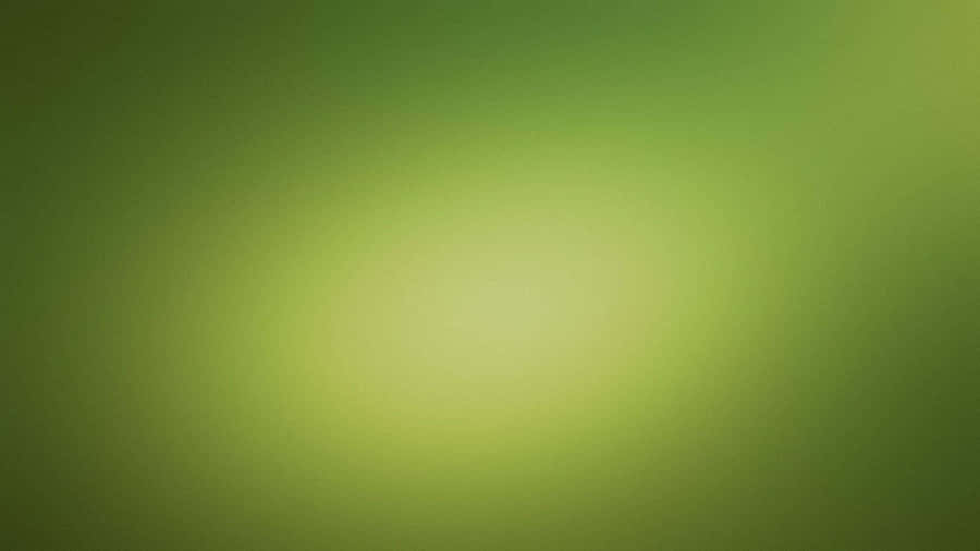 Green Texture Wallpaper Wallpaper