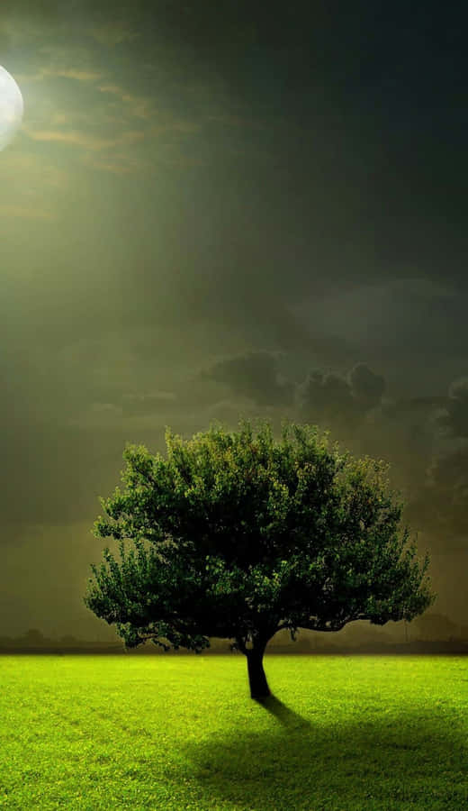 Green Tree Proper Portrait Wallpaper