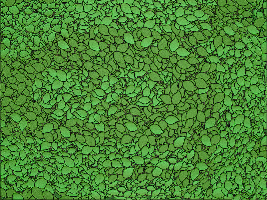 Green Wall Texture Background Wallpaper