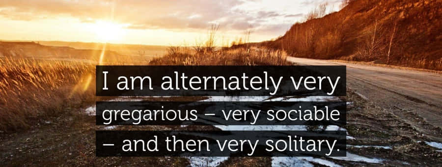 Gregarious Quote Against Sunset Wallpaper