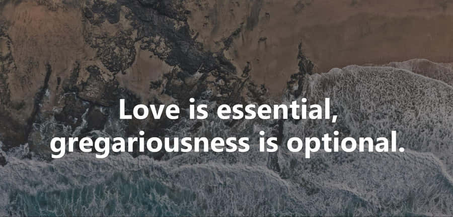 Gregarious Quote Landscape Wallpaper