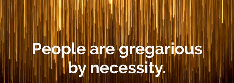 Gregarious Quote On Orange Curtains Wallpaper