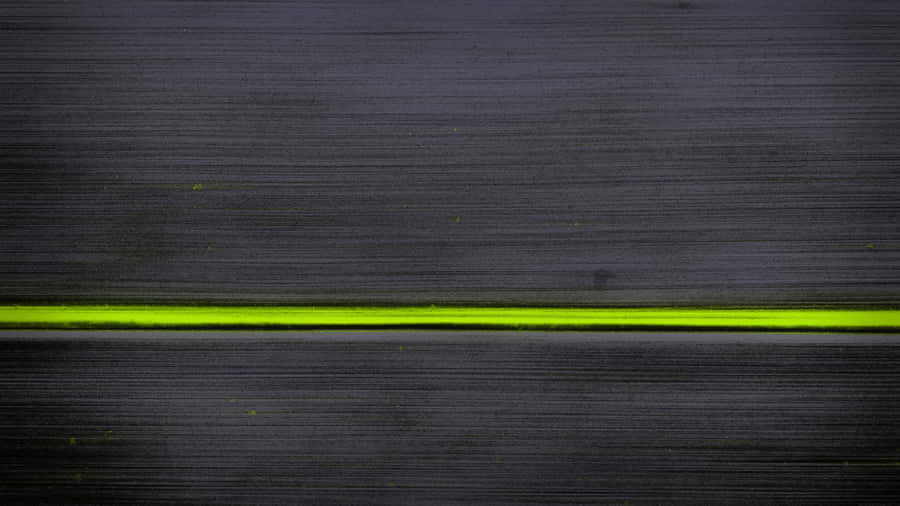 Gritty Green Line Wallpaper