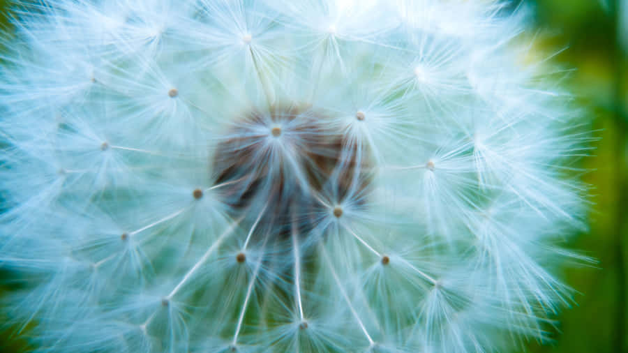 Group Of Friends Gathered Around A Campfire Wallpaper