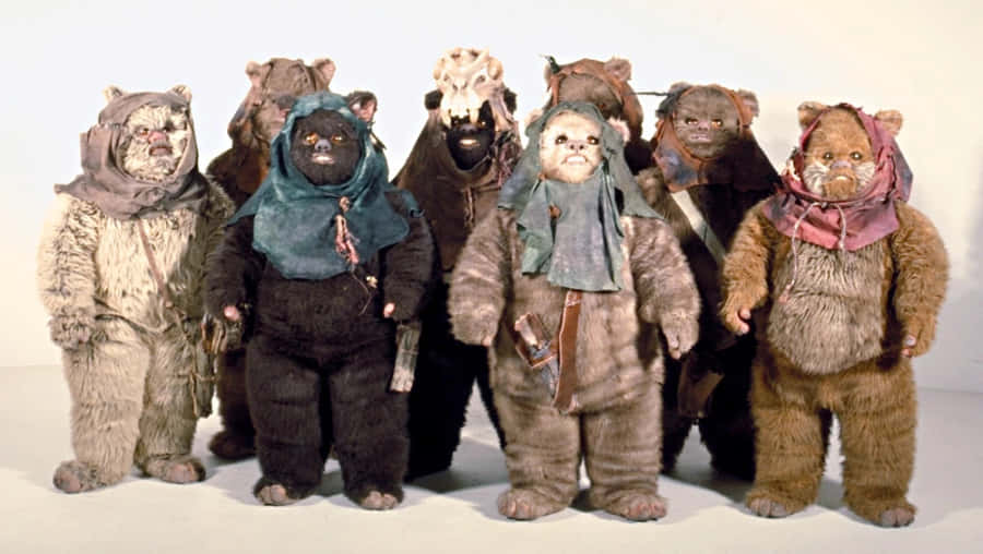 Groupof Ewoks Star Wars Wallpaper