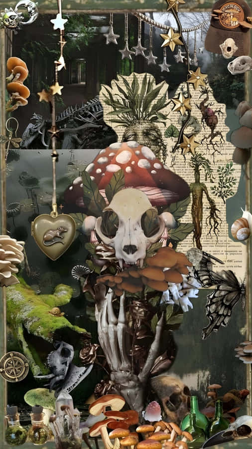 Grunge Fairycore Enchanted Forest Wallpaper