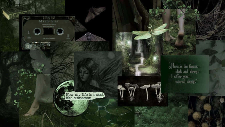 Grunge Fairycore Moodboard Wallpaper