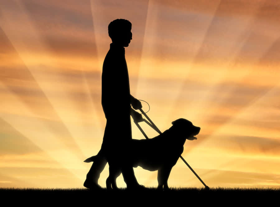 Guiding Dogat Sunset Silhouette Wallpaper