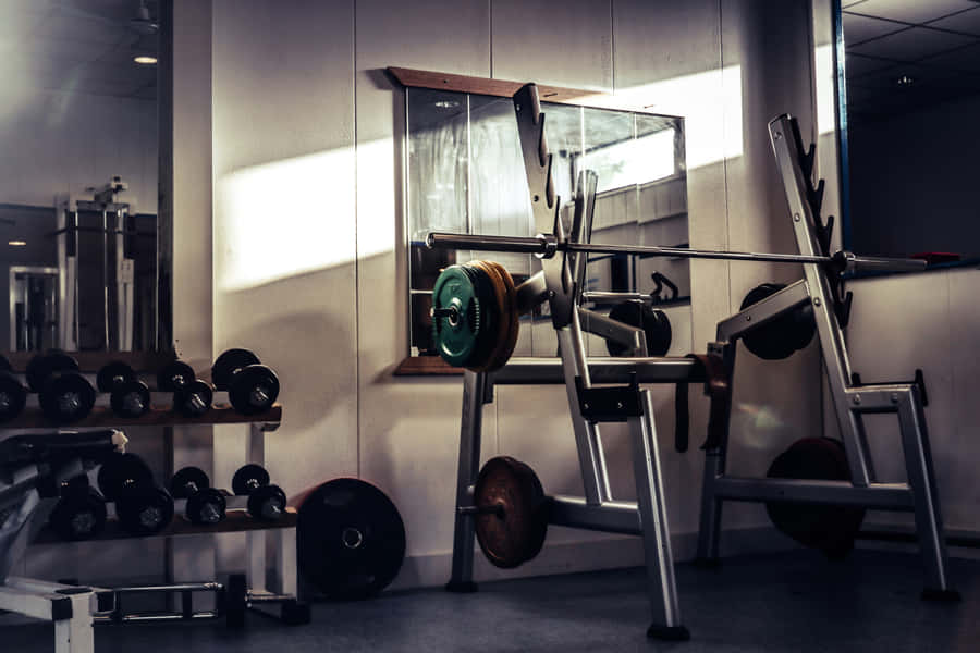 Gym Equipmentin Sunlit Room Wallpaper