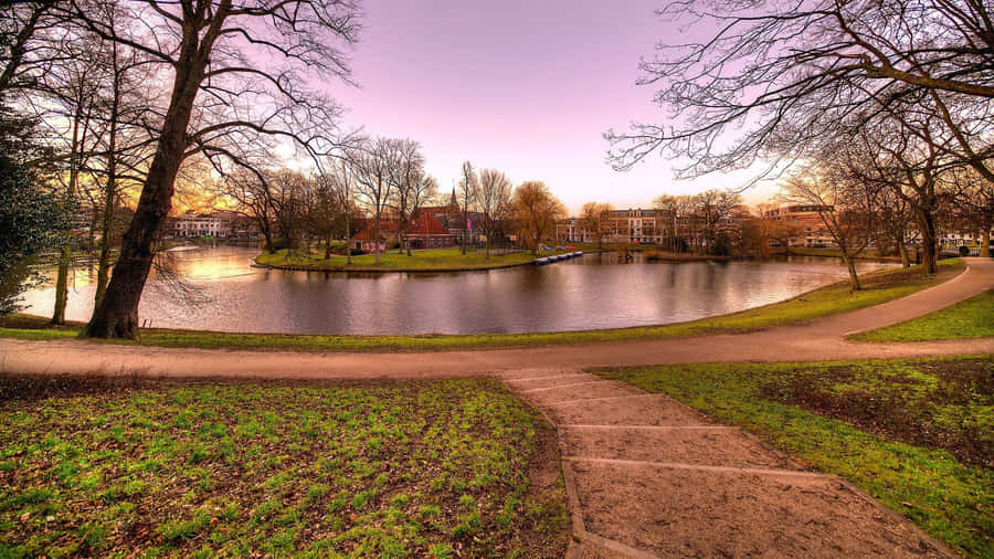 Haarlem Park Sunset Wallpaper
