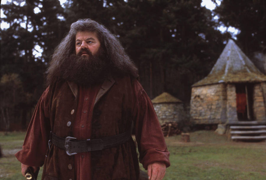 Hagrid Red Coat Harry Potter Laptop Wallpaper