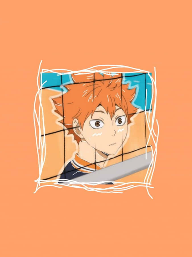 Haikyuu Anime Shoyo Behind Net Wallpaper