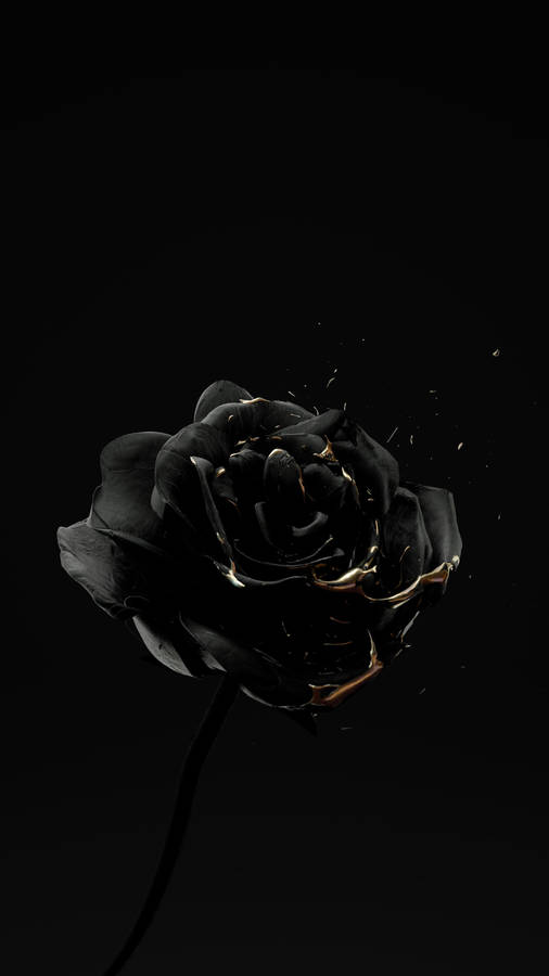 Halfeti District Black Rose Iphone Wallpaper