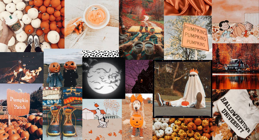 Halloween Aesthetic Pc Photo Compilation Wallpaper