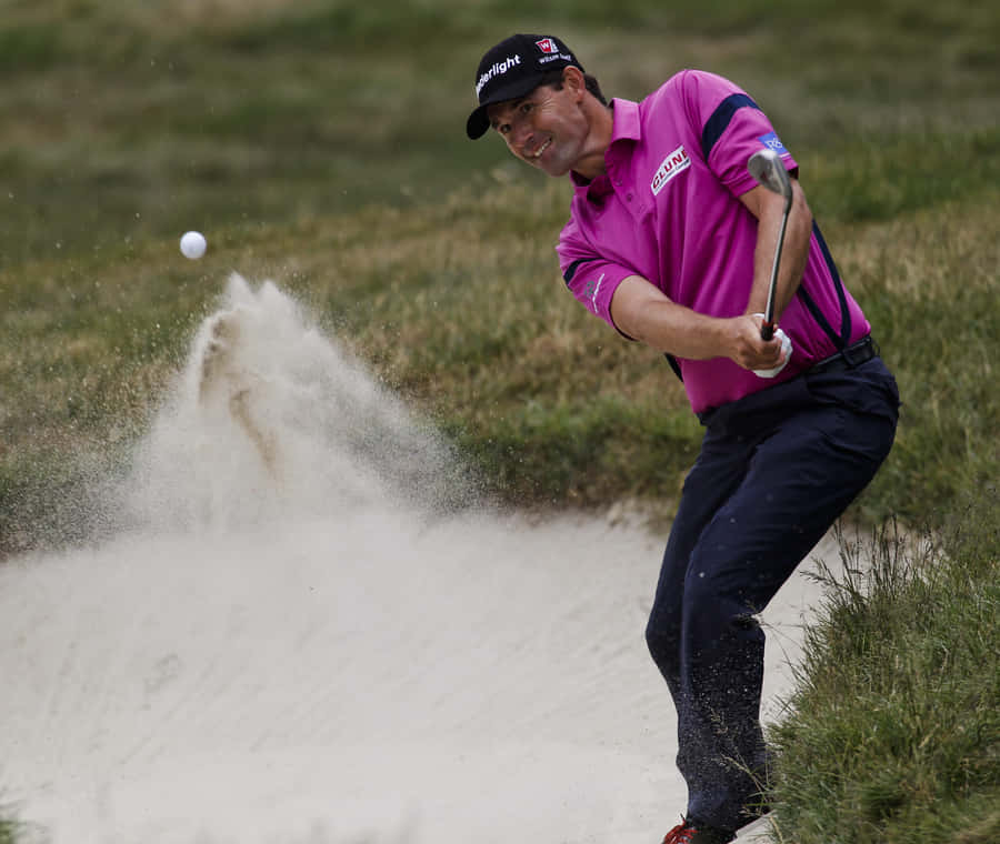 Harrison Fazar Purple Wallpaper