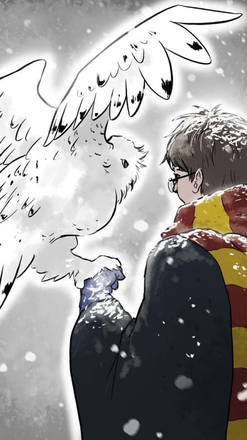 Harry Potter And Hedwig Wallpaper