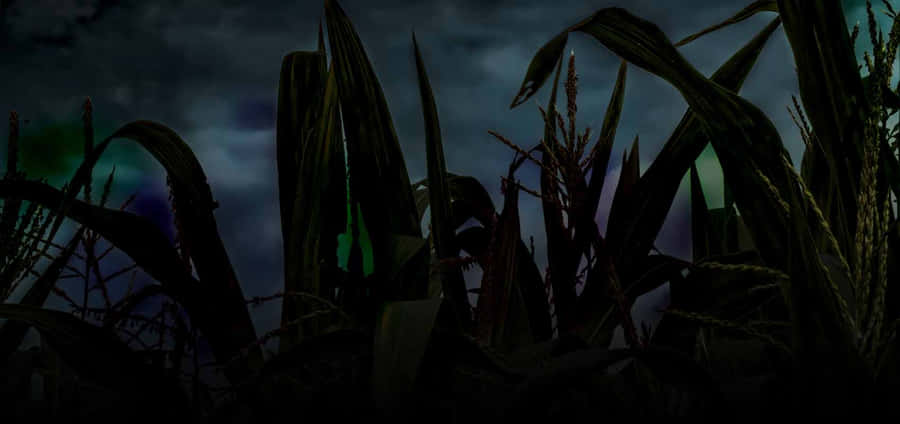 Haunted Corn Maze Nighttime Scene Wallpaper