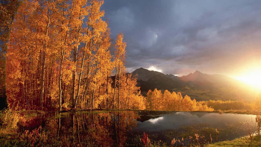 Hd Autumn Lake Wallpaper