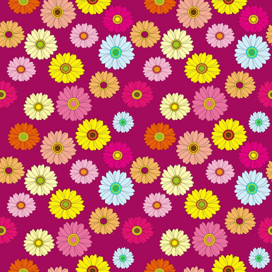 Hd Pattern Multi-colored Daisies Wallpaper