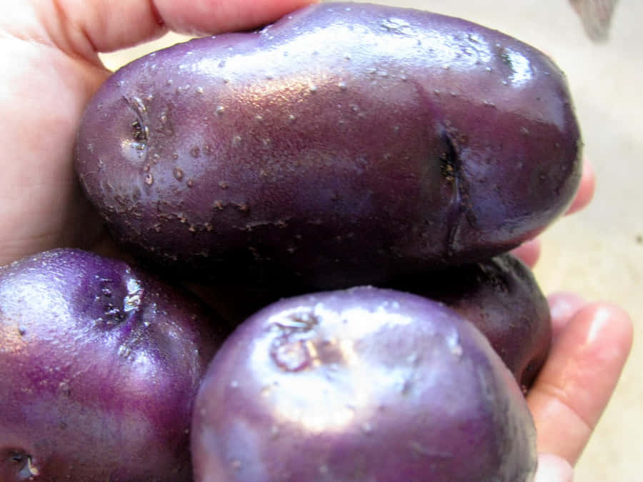 Healthy And Delicious Purple Potatoes Wallpaper
