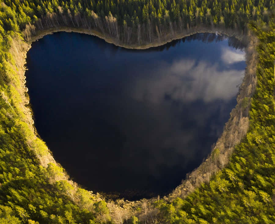 Heart Shaped Lake Aerial View Wallpaper
