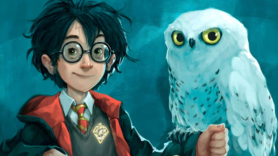 Hedwig And Harry Potter Wallpaper