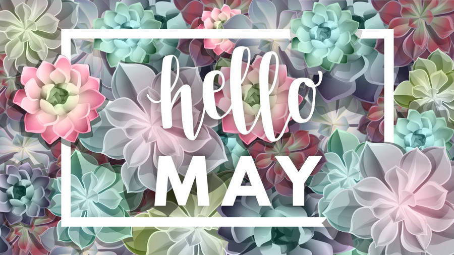“hello To A Fresh Start: May And Its Favorable Succulents” Wallpaper