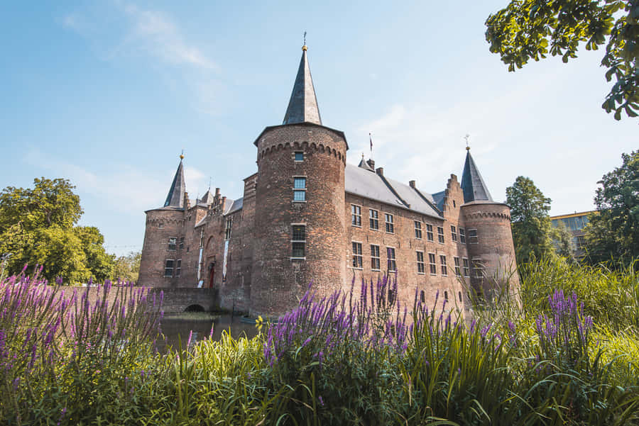 Helmond Castle Summer View Wallpaper