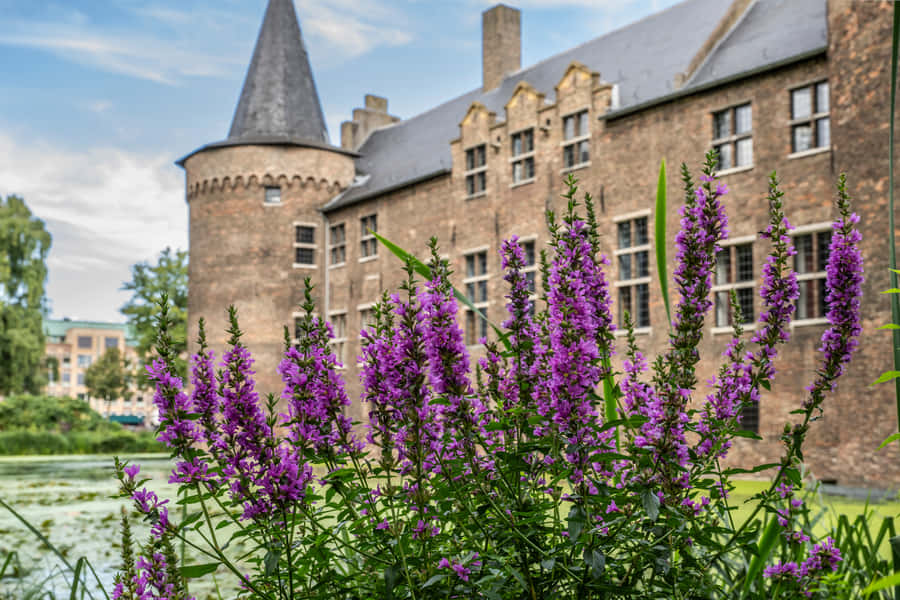 Helmond Castle Towerand Gardens Wallpaper