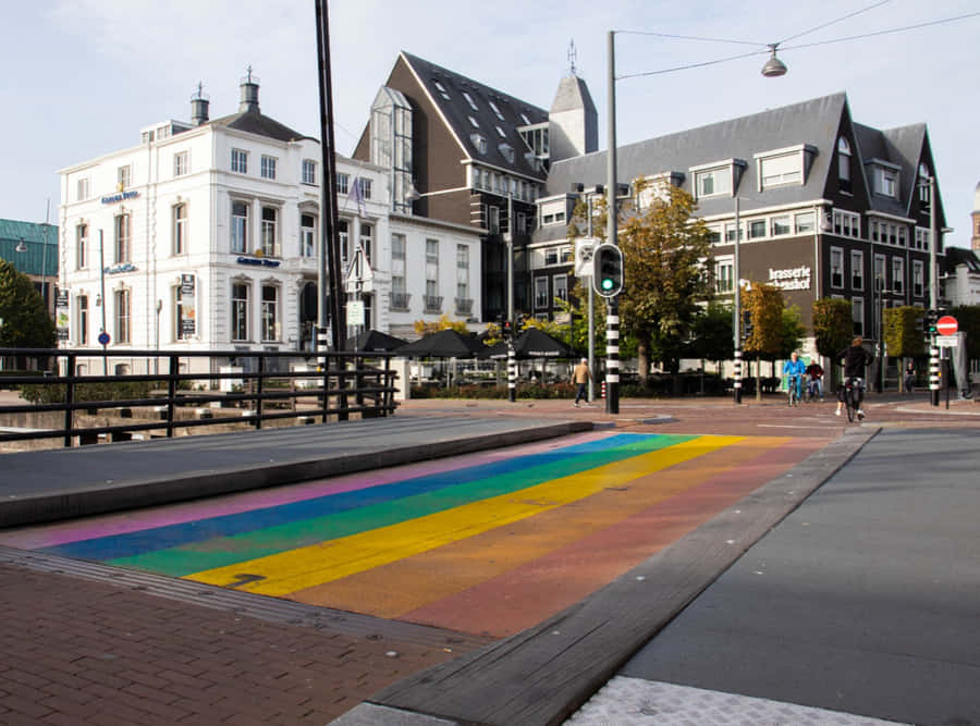 Helmond Rainbow Crosswalk Netherlands Wallpaper