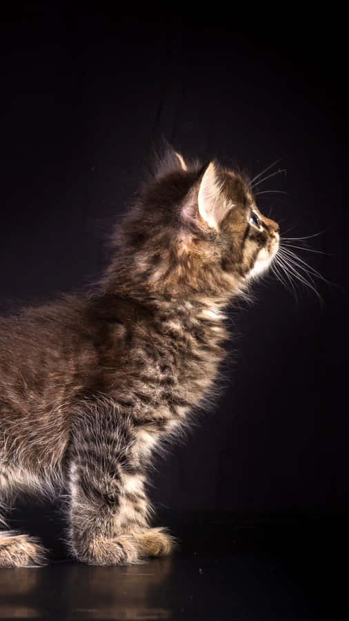 High Quality Retina Display Wallpaper