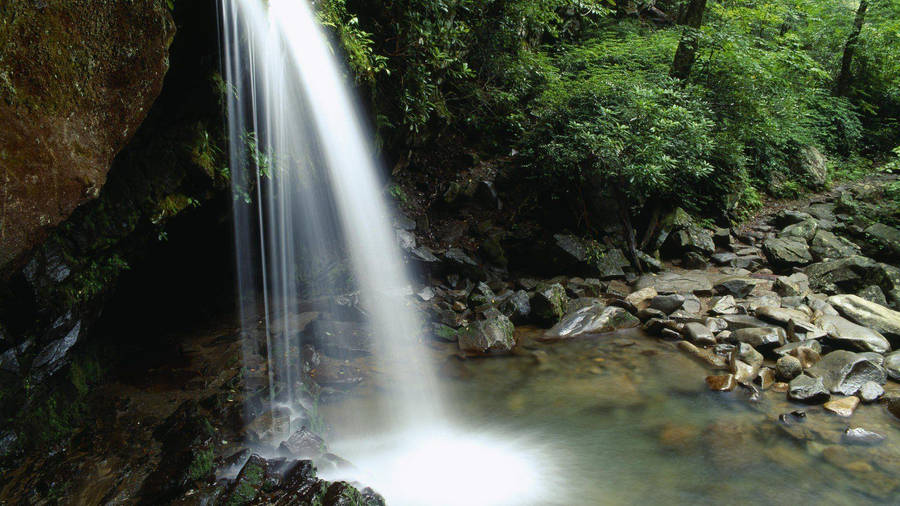 Hiking In The Great Smoky Mountains Wallpaper