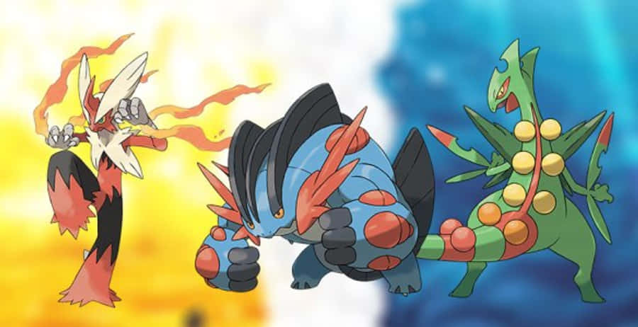 Hoenn Region Starters Evolution Wallpaper