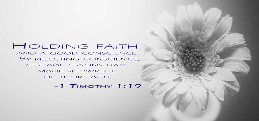 Holding Faith Bible Verse1 Timothy119 Wallpaper