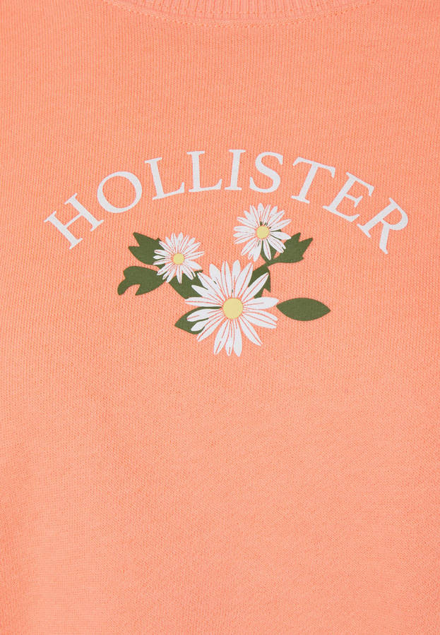 Hollister Three White Flower Illustration Wallpaper