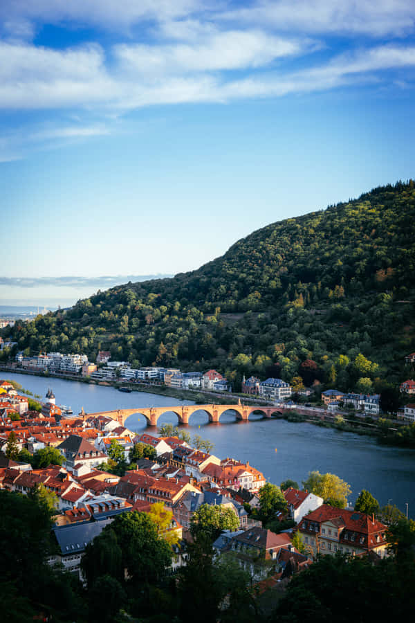 Houses Near Heidelberg Castle Wallpaper