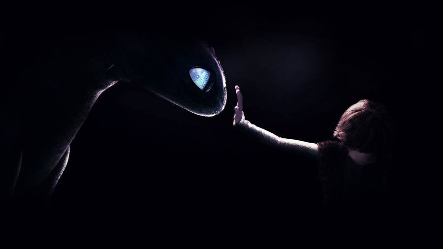 How To Train Your Dragon On Dark Background Wallpaper