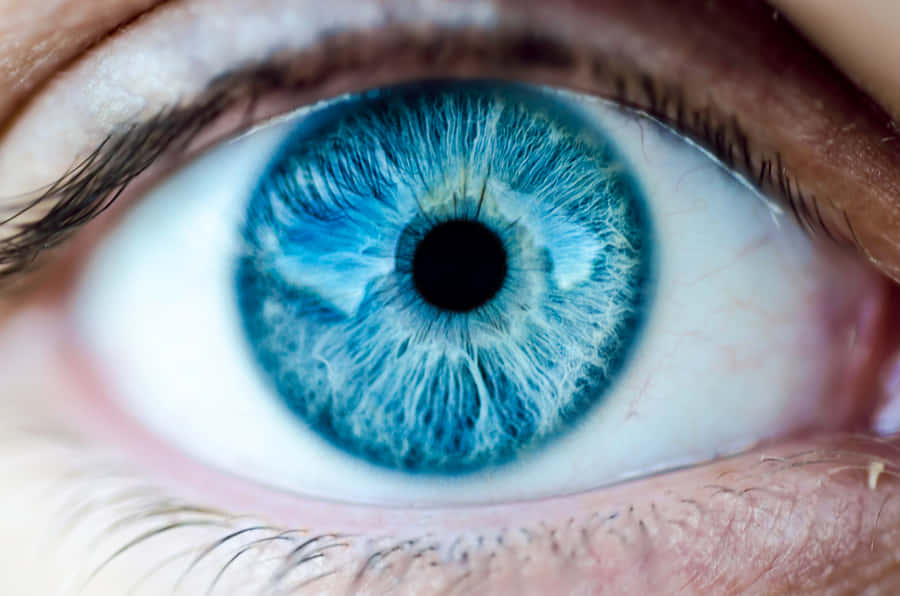 Hues Of Slate Blue Against A Snowy Landscape Wallpaper