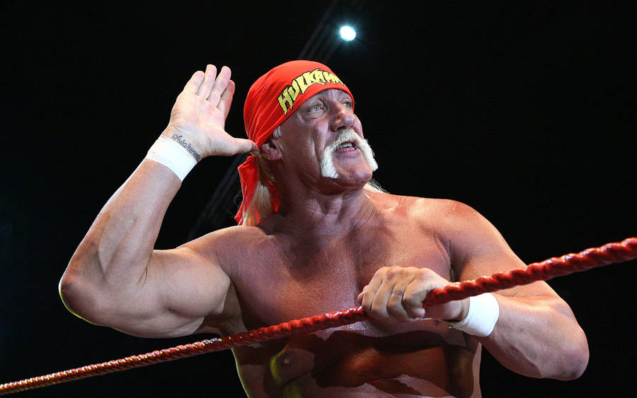 Hulk Hogan Wrestling Legend Wallpaper